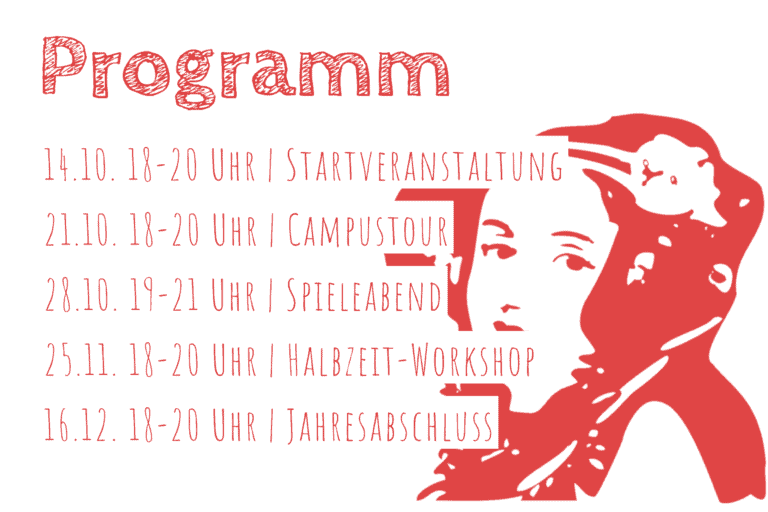 mentoring programm