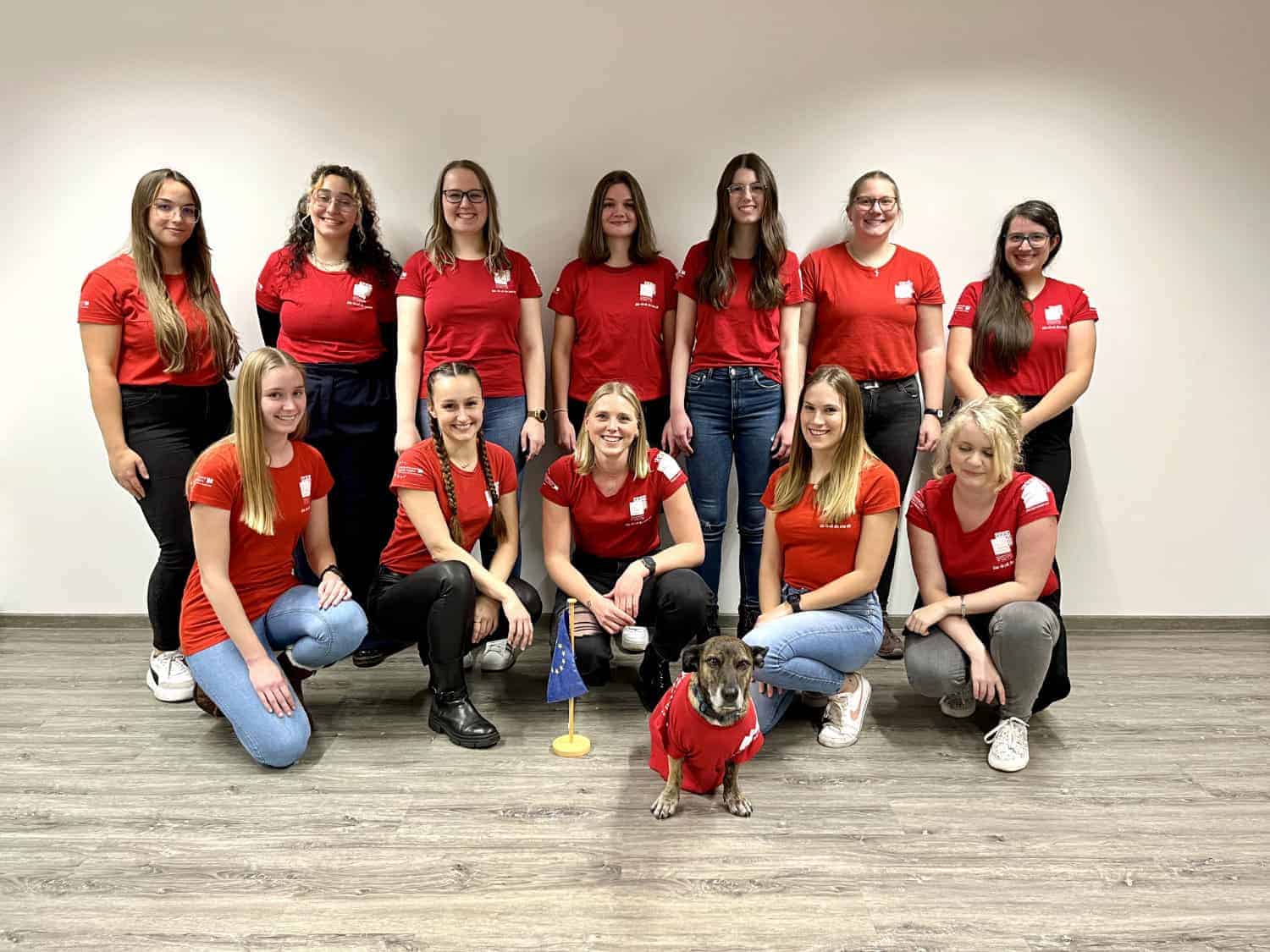 alp mentorinnen standort koblenz