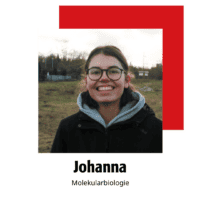 johanna molekularbiologie