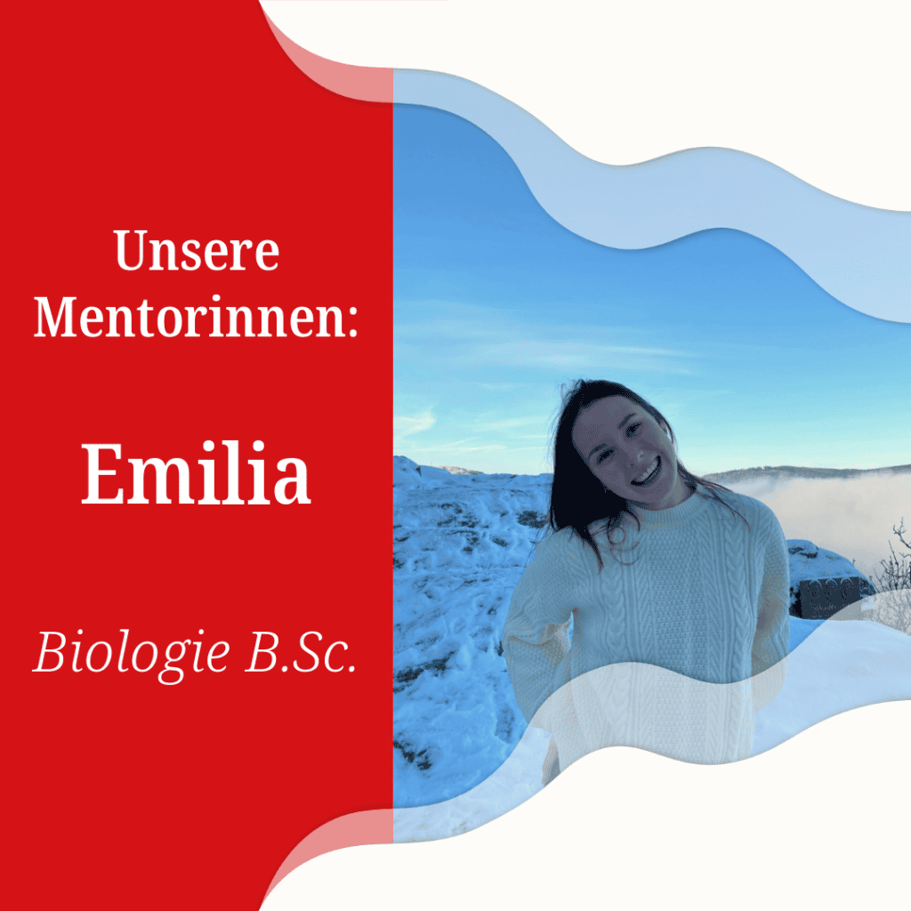 mentorinnenvorstellung emilia