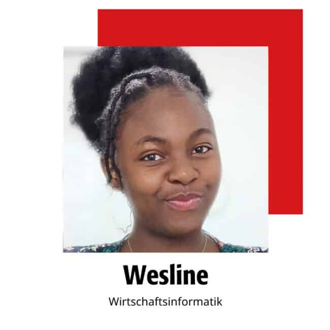 wesline wirtschaftsinformatik